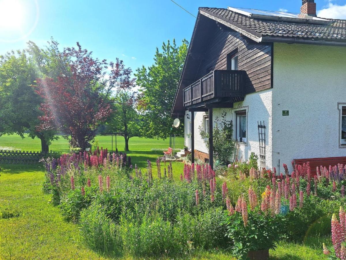 Pension Schneider Frauenau Extérieur photo