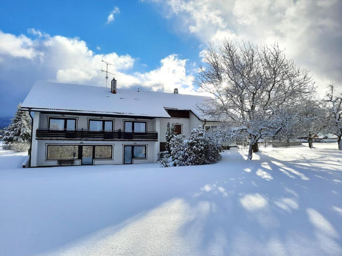 Pension Schneider Frauenau Extérieur photo
